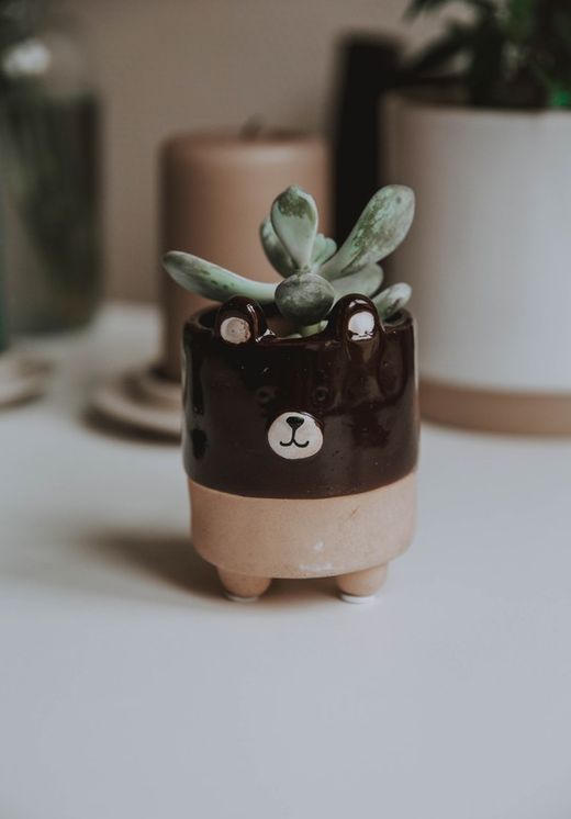 Maceta Mini Oso